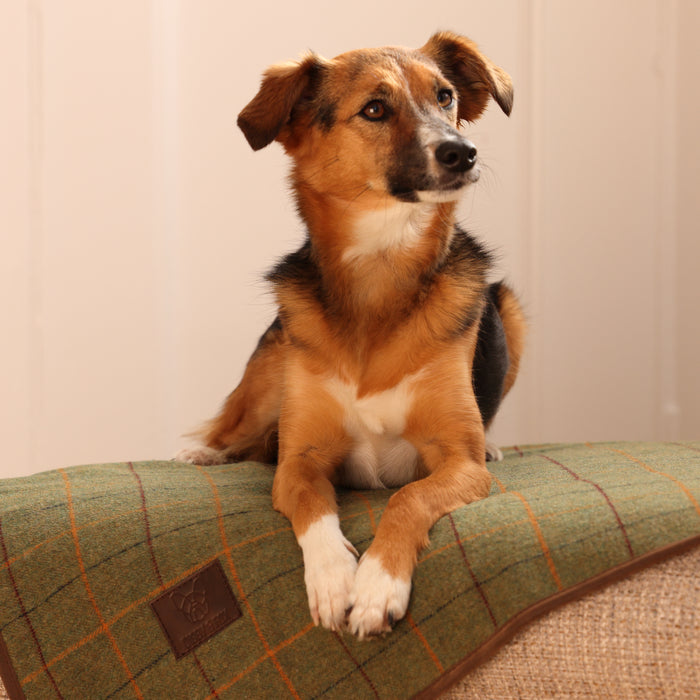 Digby & Fox Tweed Blanket