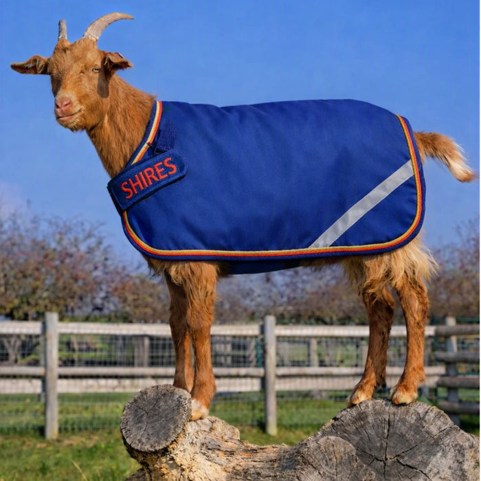 Tempest 100 Goat Rug