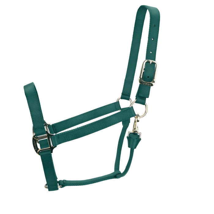 ARMA Non Adjustable Nylon Halter