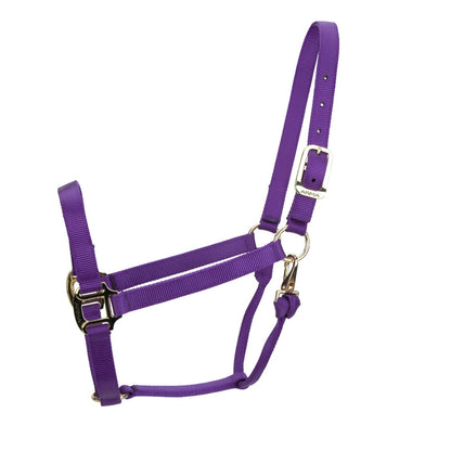 ARMA Non Adjustable Nylon Halter