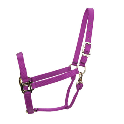 ARMA Non Adjustable Nylon Halter