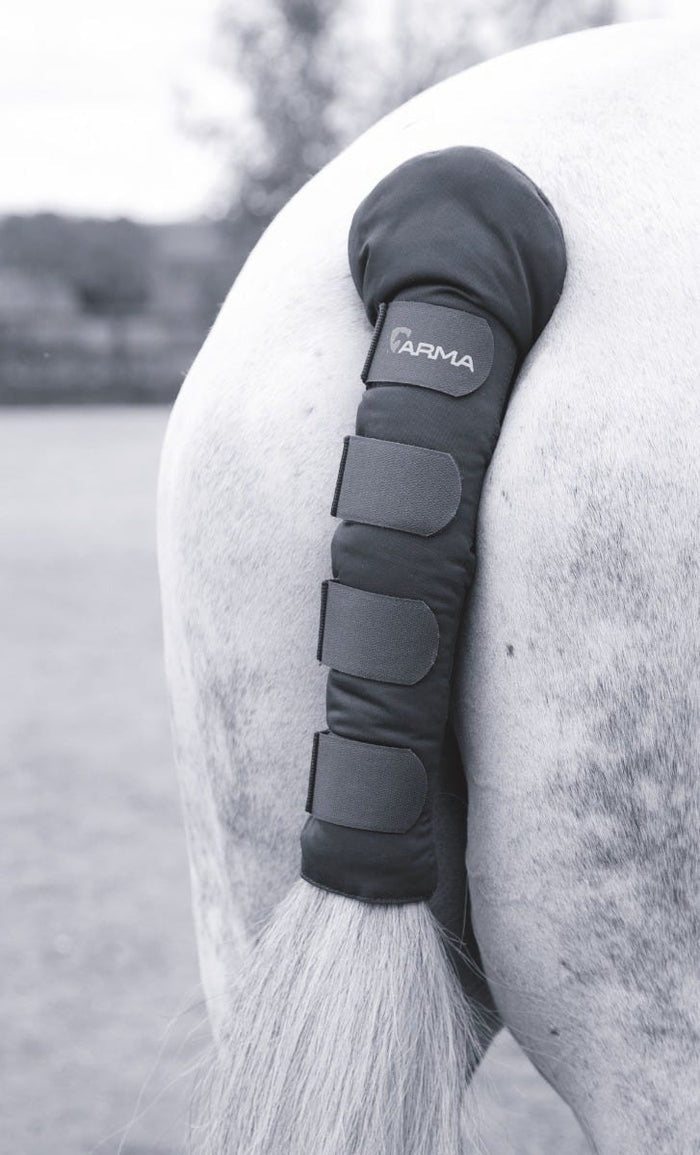 ARMA Padded Tail Guard