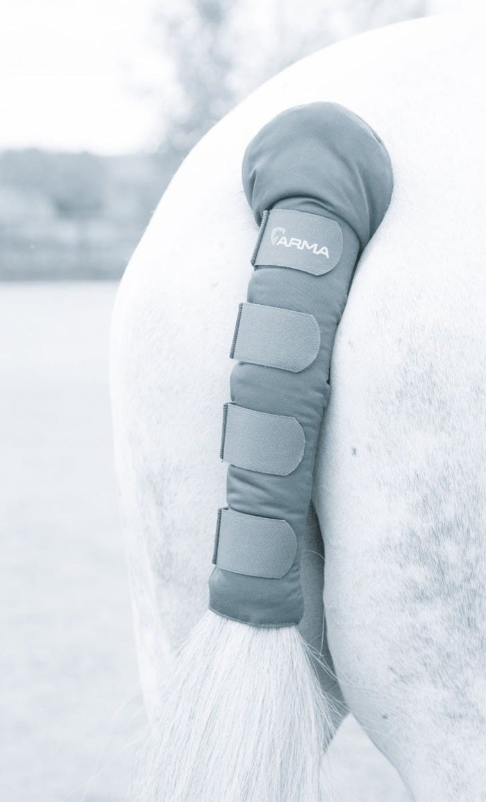 ARMA Padded Tail Guard