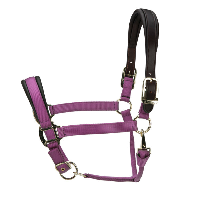 ARMA Premium Nylon Halter with Leather Padding