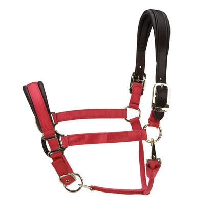 RED / PONY