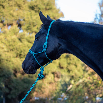 ARMA Rope Halter & Lead Set