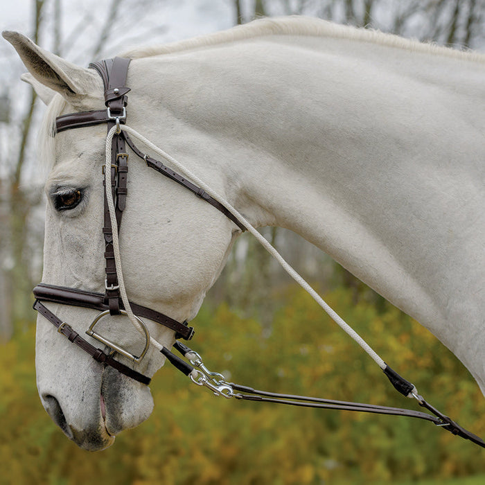 Avignon De Gogue Training Aid