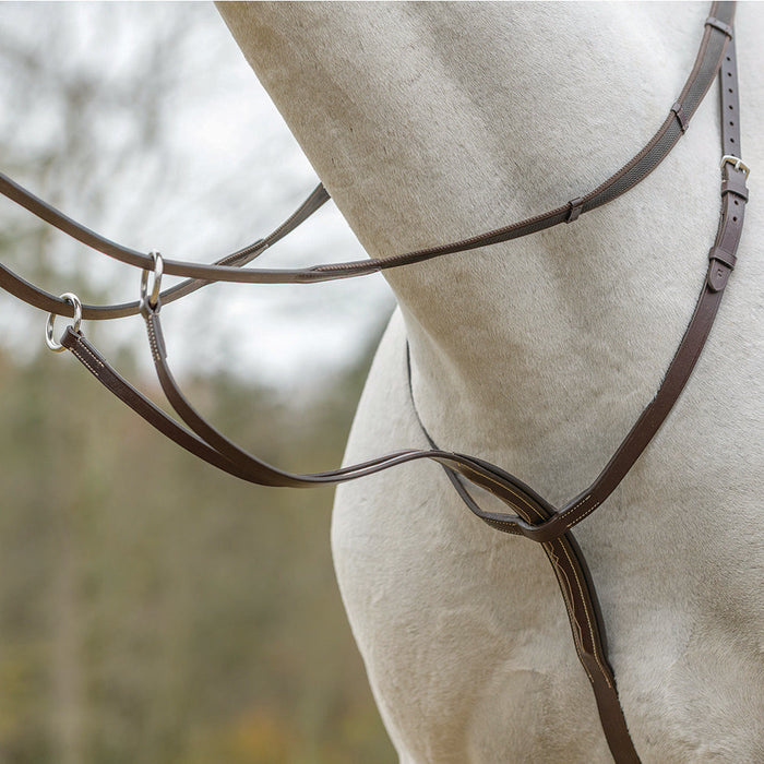 Avignon Running Martingale