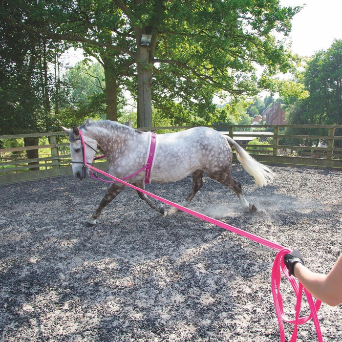 Cushion Web Lunge Line