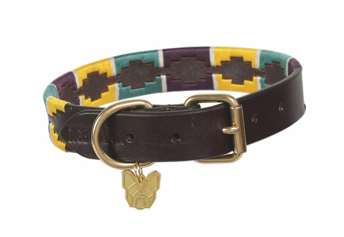 Digby & Fox Drover Polo Dog Collar