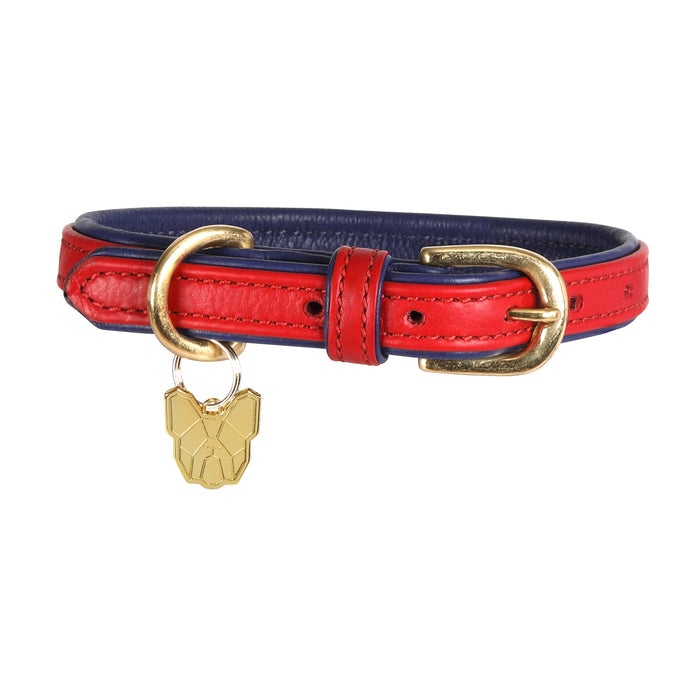 Digby & Fox Padded Leather Dog Collar