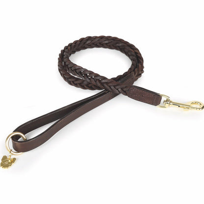 Digby & Fox Plaited Dog Lead