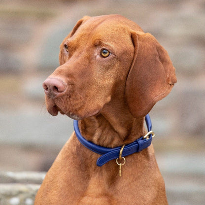Digby & Fox Rolled Leather Dog Collar