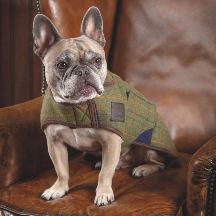 Digby & Fox Tweed Dog Coat