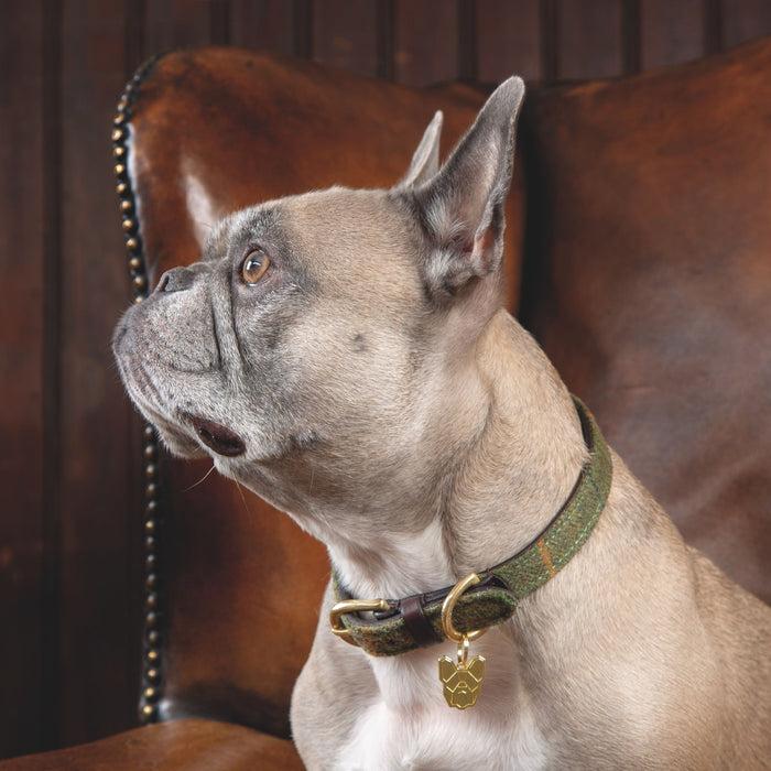 Digby & Fox Tweed Dog Collar
