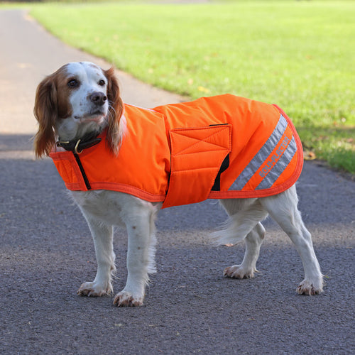 EQUI-FLECTOR® Dog Coat