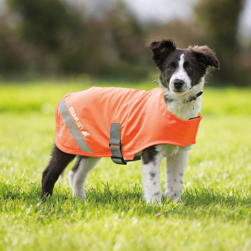 Equiflector Dog Safety Vest