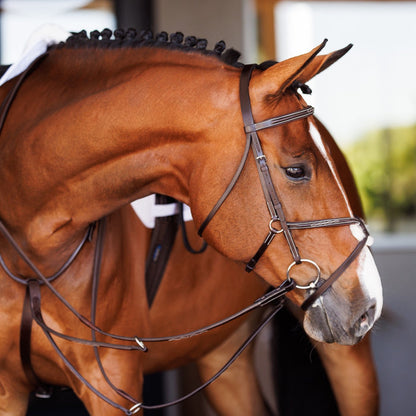 Fancy Raised Rubber Reins