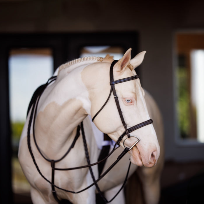 Fancy Square Raised Laced Reins