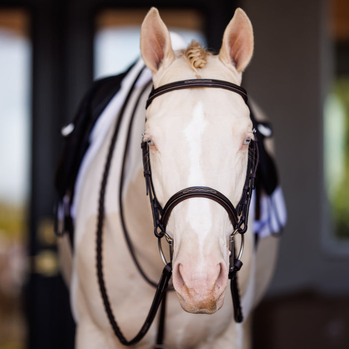 Fancy Square Raised Laced Reins