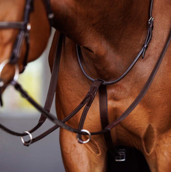 Fancy Square Raised Running Martingale