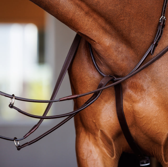 Fancy Square Raised Running Martingale