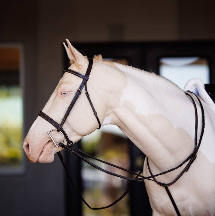 Fancy Square Raised Standing Martingale