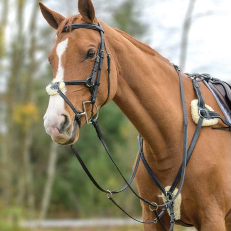 Five Point Breastplate
