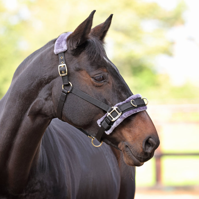 Fleece Lined Lunge Cavesson
