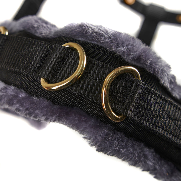 Fleece Lined Lunge Cavesson
