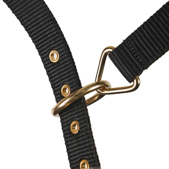 Fleece Lined Lunge Cavesson