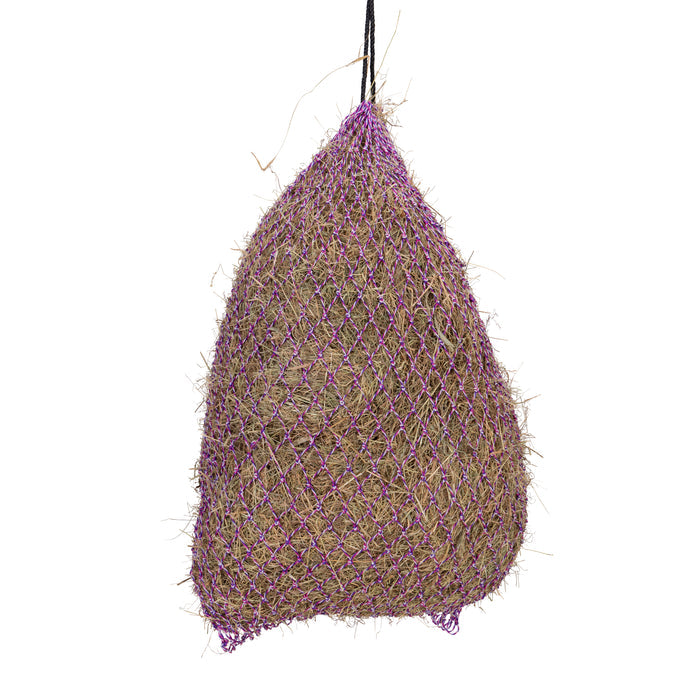 Greedy Feeder Color-Twist Net