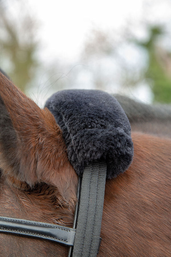Lunging Adapter