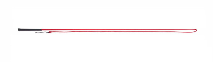 Lunging Whip