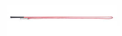 Lunging Whip