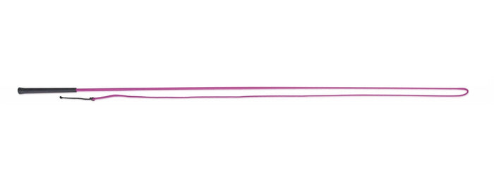 Lunging Whip
