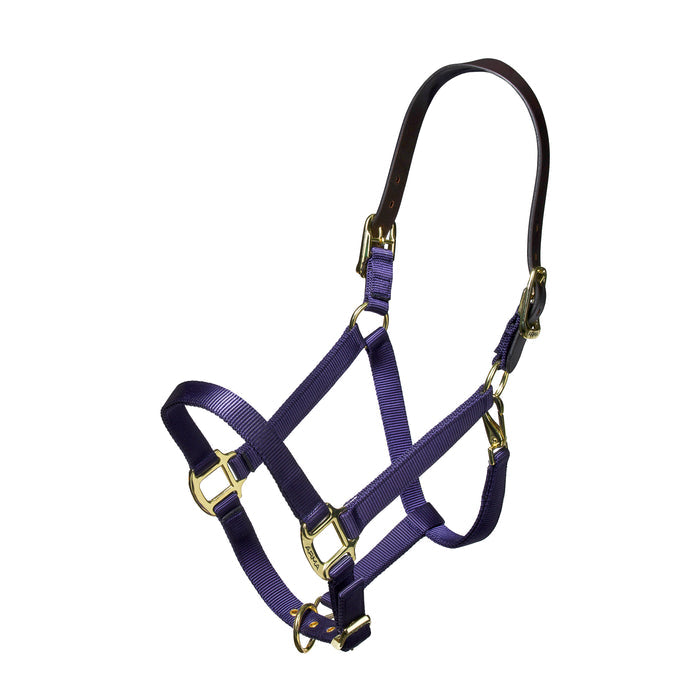 Nylon Halter With Leather Head Strap