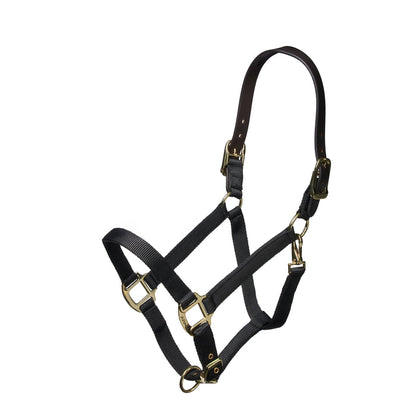 Nylon Halter With Leather Head Strap