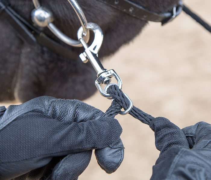 Soft Lunging Aid