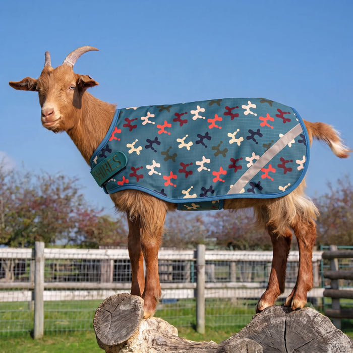 Tempest 100 Goat Rug