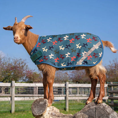 Tempest 200 Goat Rug