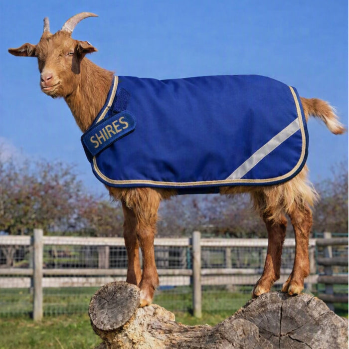 Tempest 200 Goat Rug
