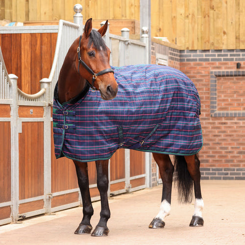 Tempest Plus 100 Stable Blanket