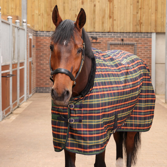 Tempest Plus Lite Stable Blanket