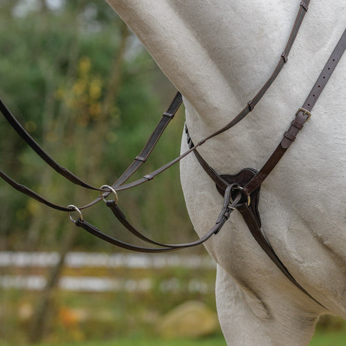 Three Point Breastplate