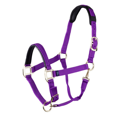 PURPLE / EXTRA SMALL PONY