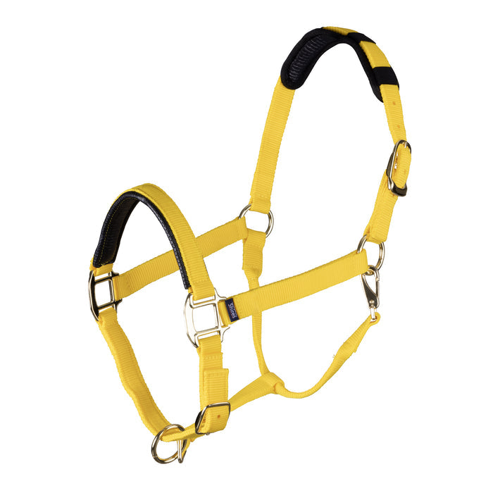 Topaz Leather Breakaway Nylon Headcollar