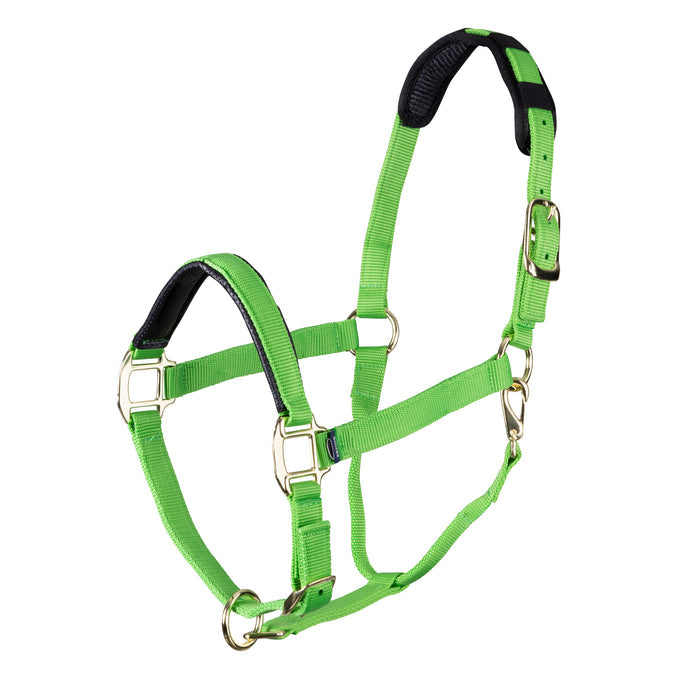 Topaz Leather Breakaway Nylon Headcollar