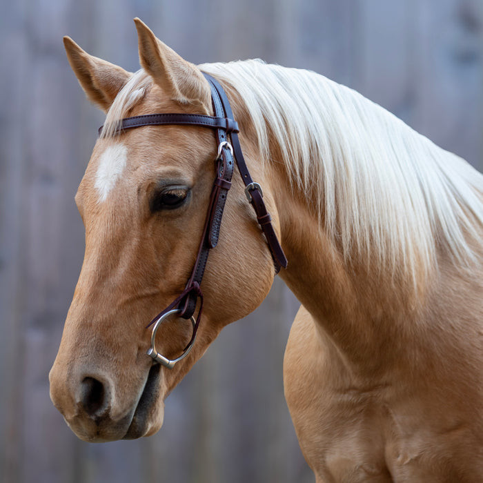 Velociti Browband Headstall with Rawhide Knotting