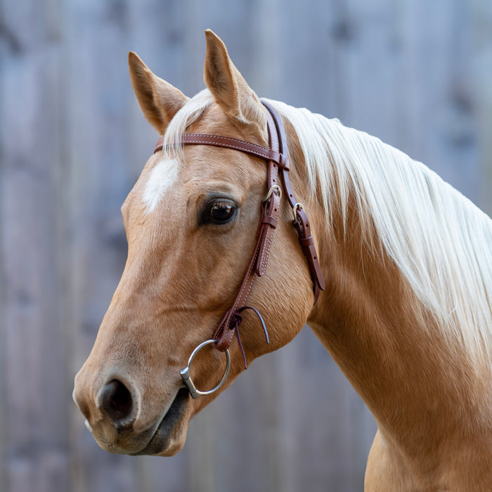 Velociti Browband Headstall with Rawhide Knotting